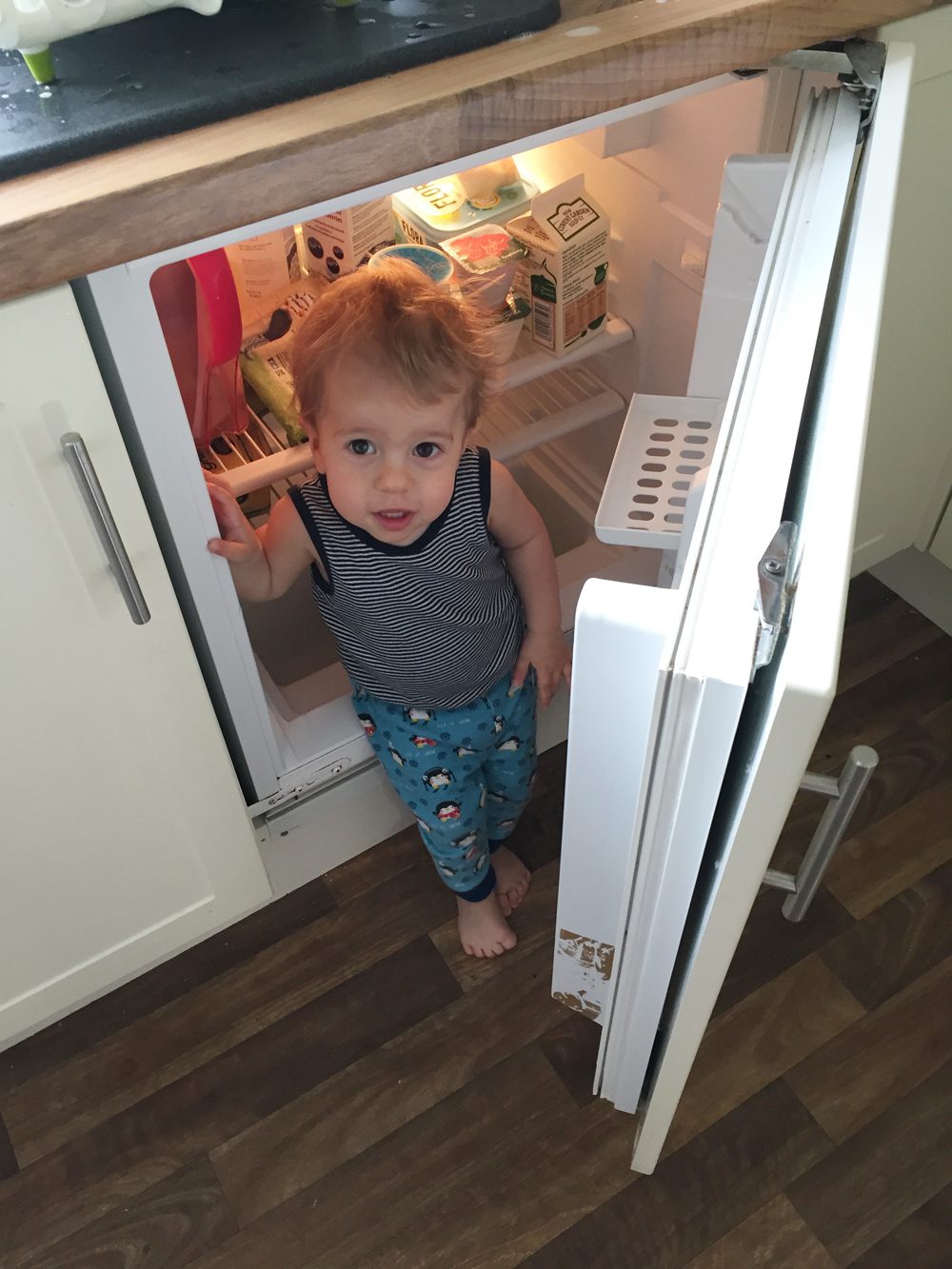 Finley in fridge: healthy eating for children