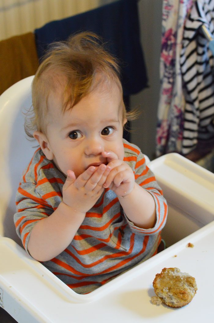 Finley eating muffin