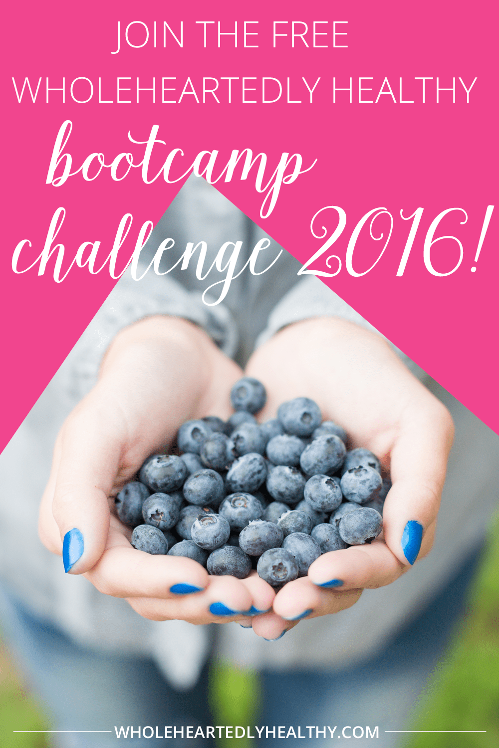 Wholeheartedlyhealthy bootcamp