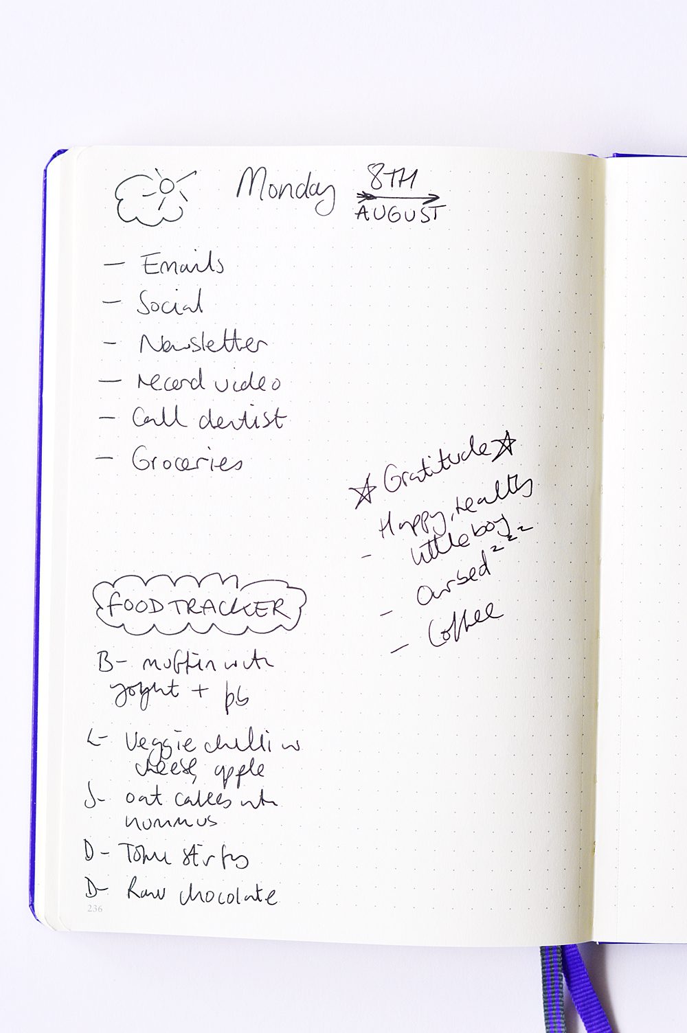 How to use a bullet journal for health and wellbeing :daily spread