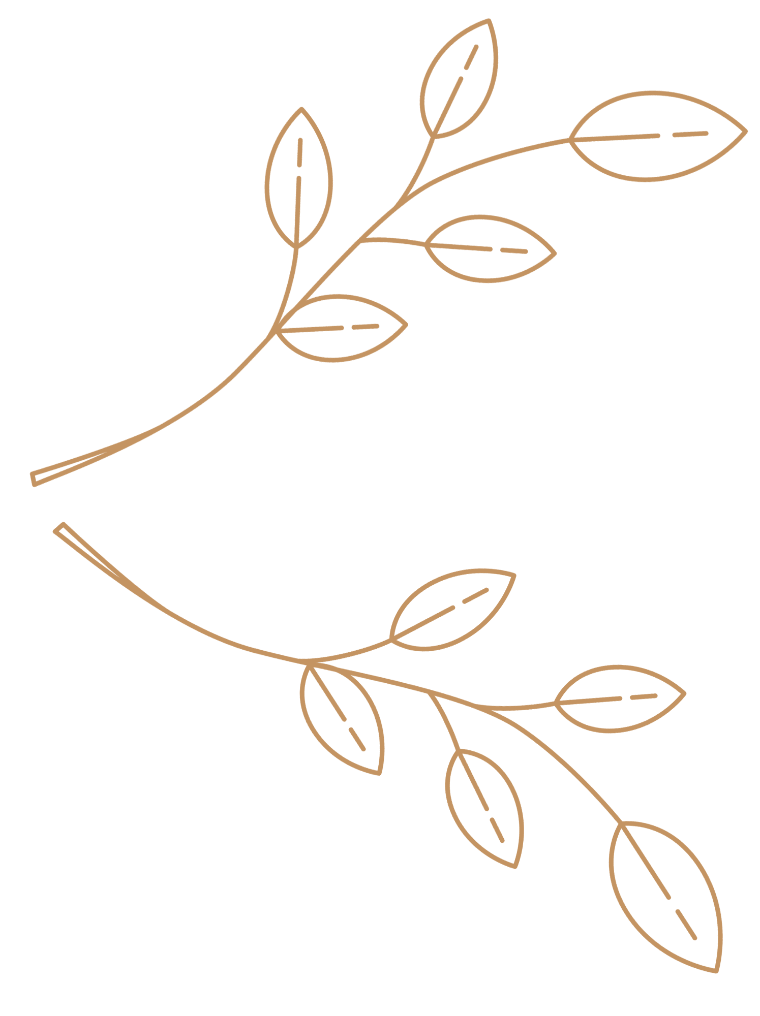 branch for blog 2